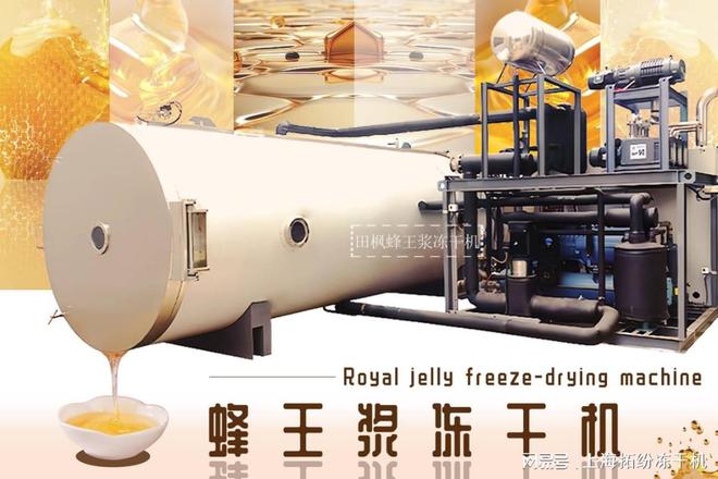 粉：冻干技术在蜂产品中的未来前景米乐体育M6直播平台蜂王浆冻干